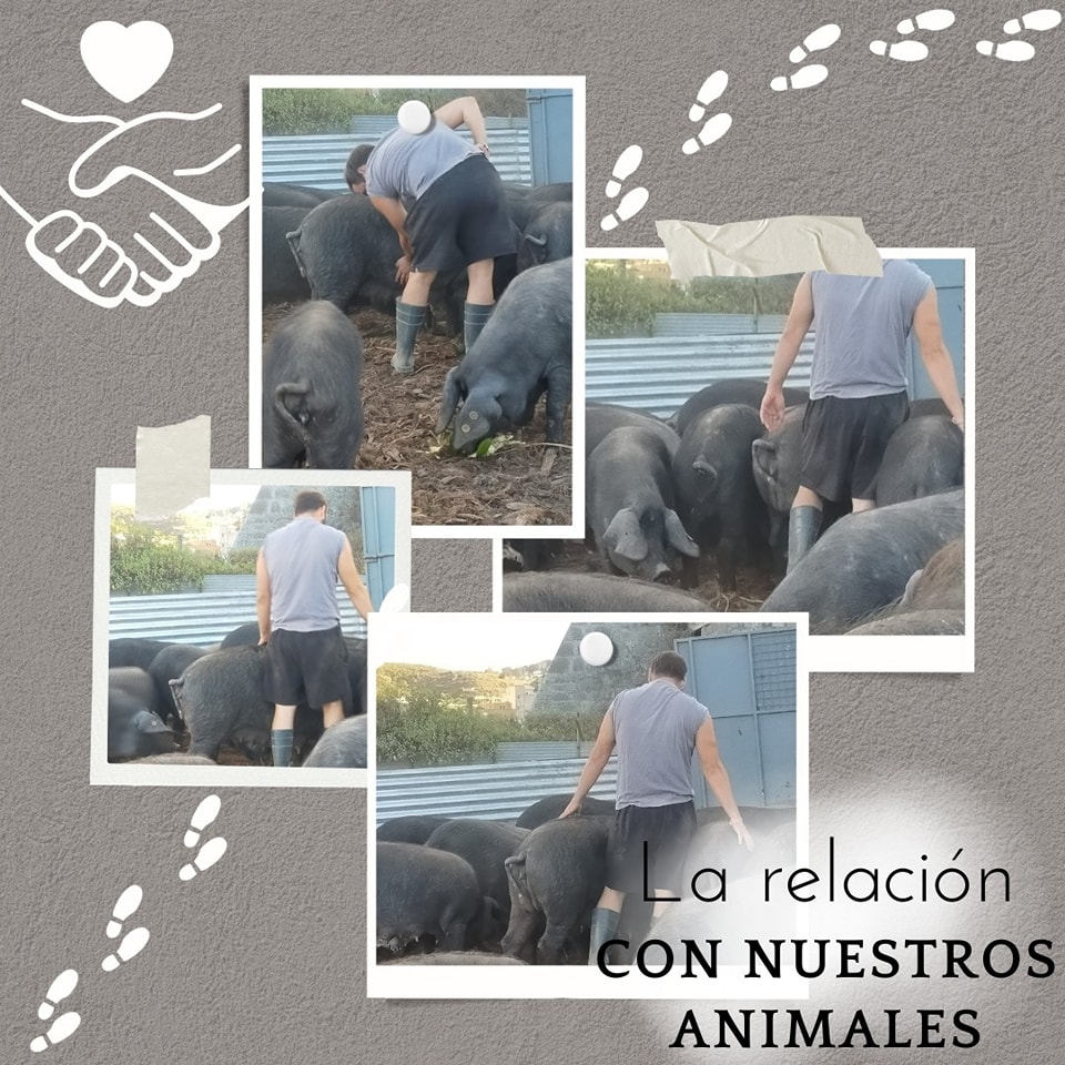 382781874_323251083715995_5972741622707046327_n sobre nosotros