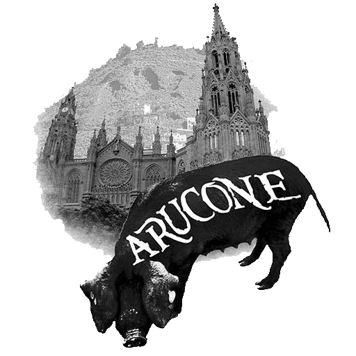 Logo Arucone_122004 cochino negro canario
